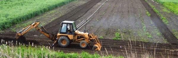 Water Stressed Farmer turns to Subsurface Drip Irrigation