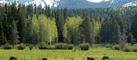 Colorado Agriculture Energy Efficiency Program