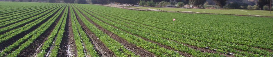 Water Efficiency in a Drip Irrigation System