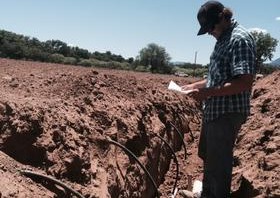 Arizona Grower Conserving Water with Subsurface Drip Irrigation System