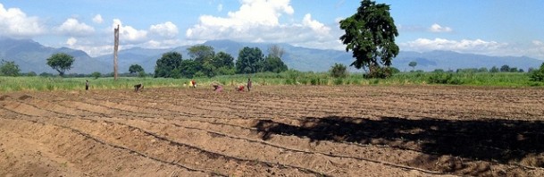 Drip Irrigation in Tanzania